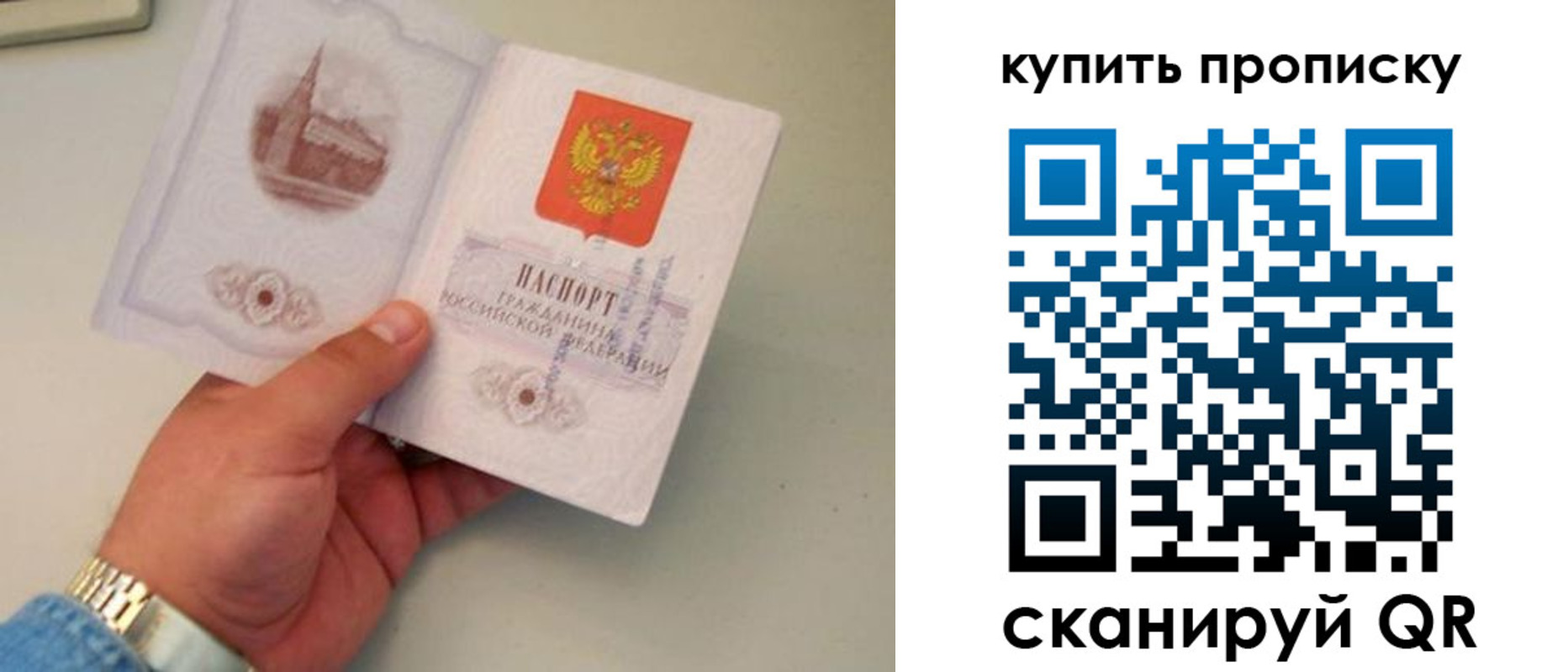 прописка для работы в Кировске